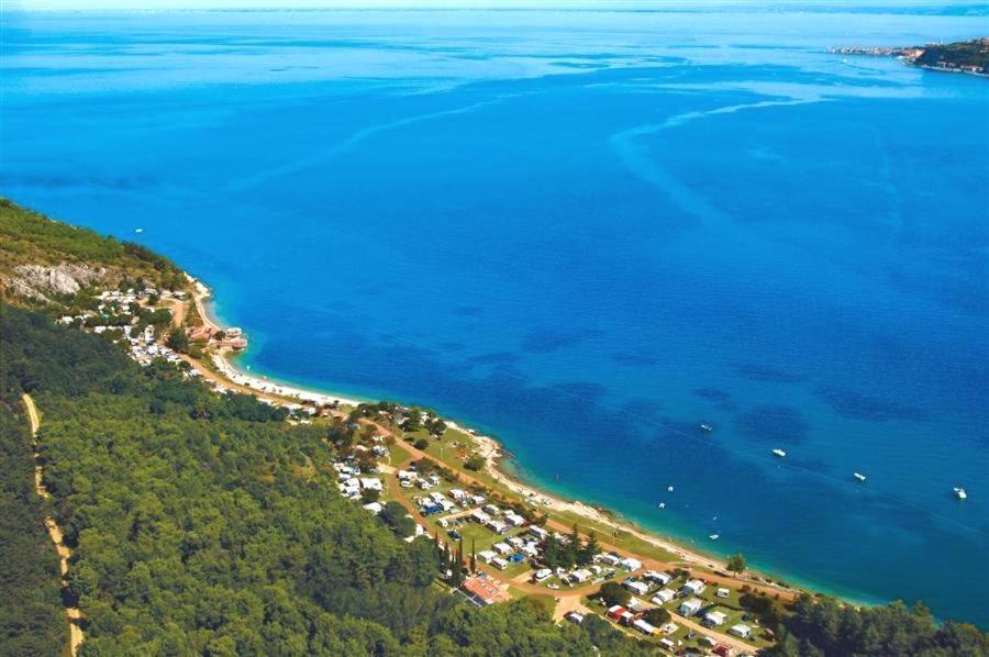 Villa Rustica Buje Exteriör bild